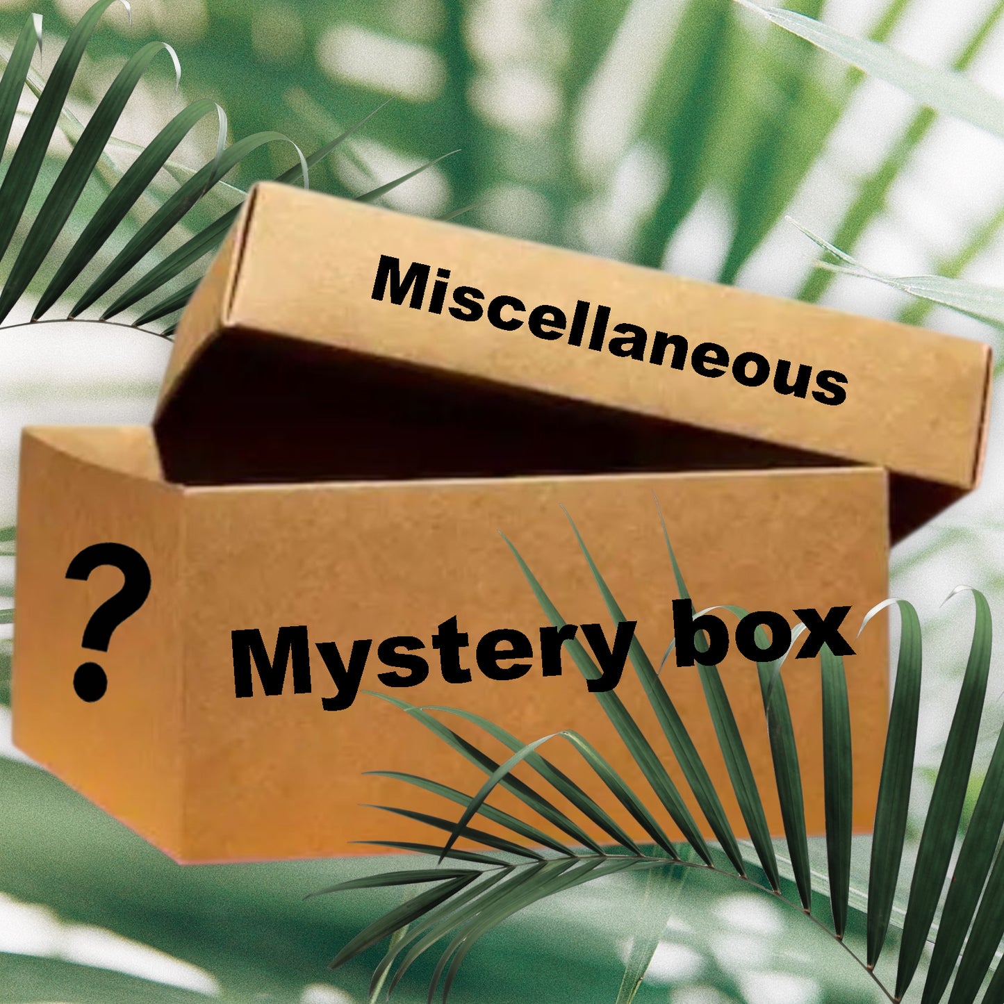 Mystery box uit al onze planten