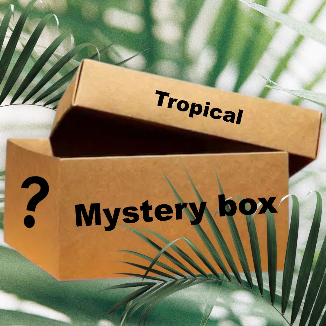 Mystery box tropische planten