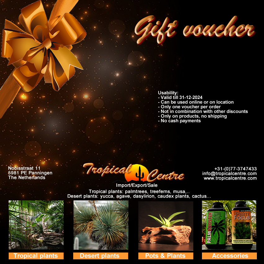 Gift voucher EUR 10.00