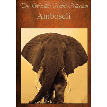 Photobook Amboseli National Park in Kenya