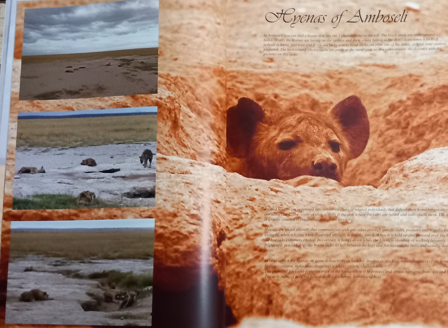 Photobook, hard cover, Amboseli National Park - Kenya