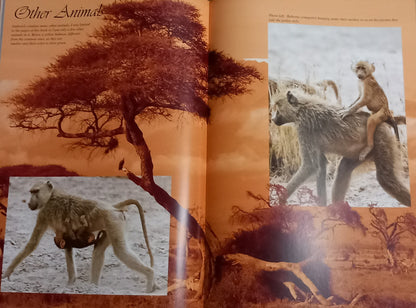 Photobook, hard cover, Amboseli National Park - Kenya