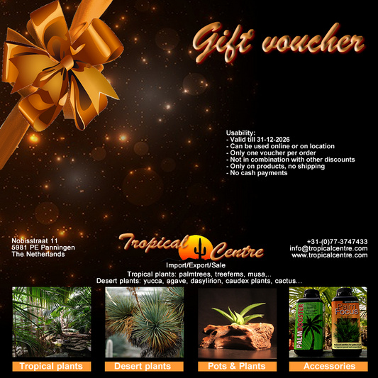 Gift voucher EUR 50.00