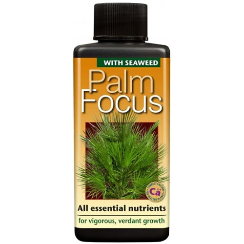 palm focus fertiliser
